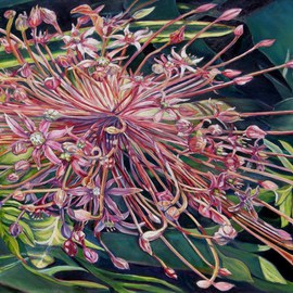 Laurie Ihlenfield: 'For a Time', 2009 Oil Painting, Floral. 