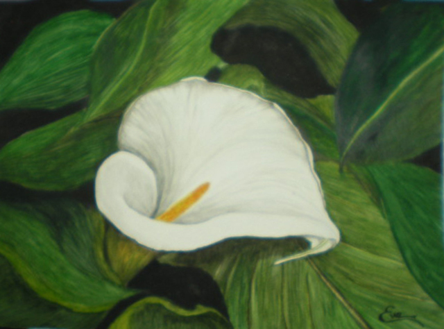 Artist Eve Co. 'Calla Lily In Leaves' Artwork Image, Created in 2010, Original Painting Oil. #art #artist