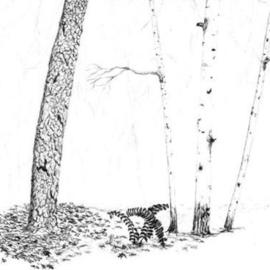 Birches and Tree Trunk By James Parker