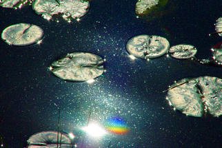 James Parker: 'Pond Lillies and Sun', 2003 Color Photograph, nature. This quite striking photograph of lake lillies was shot recently at Lake Hope in Southeastern Ohio. It was taken directly into the sun' s reflection. The rainbow colors were an added bonus....