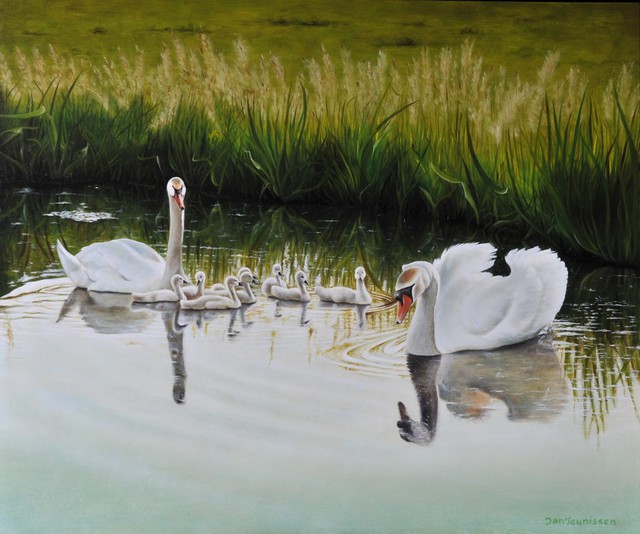 Artist Jan Teunissen. 'Swan Family' Artwork Image, Created in 2010, Original Painting Oil. #art #artist