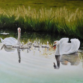 Swan Family By Jan Teunissen