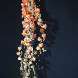 Jan Teunissen: 'chinese lantern plant', 2020 Oil Painting, Floral. Artist Description: Chinese lantern plantPhysalis ...