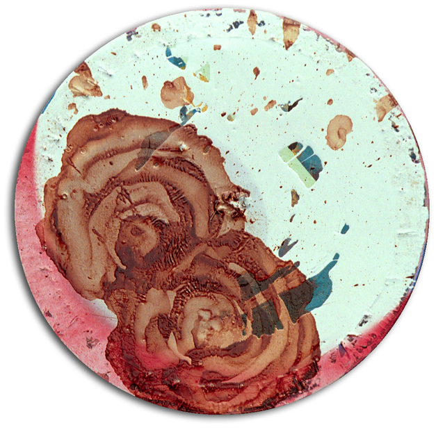 Artist Jasmine Ronel. 'Two Roses' Artwork Image, Created in 2001, Original Mixed Media. #art #artist