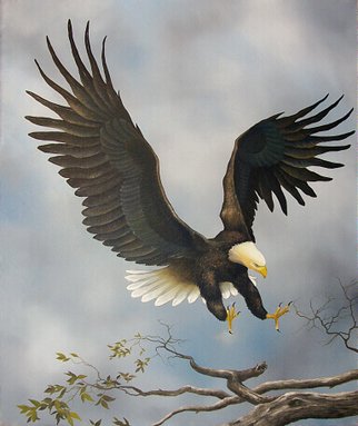 Jerry Sauls: 'American Bald Eagle', 2006 Oil Painting, Wildlife.  This gallant and proud creature, a symbol of America's freedom, dominates the canvas with his wings spread wide as he approaches his intended perch. ...