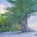 Beach Woods, Thomas Jewusiak
