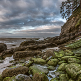 Green Stone Shore By Jon Glaser