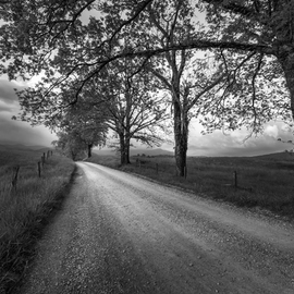 Road not Traveled II By Jon Glaser