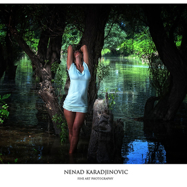 Nenad Karadjinovic: 'No : 02', 2010 Color Photograph, Figurative. 