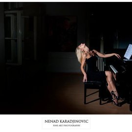Nenad Karadjinovic: 'No : 11', 2010 Color Photograph, Figurative. 