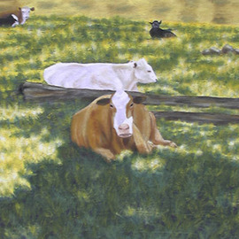 Sunol Cows By Kathleen Mcmahon