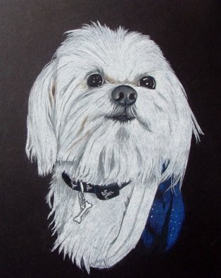 Diane Kopczeski: 'Mikey', 2010 Pencil Drawing, Dogs.         Colored pencil drawing, done from your photo.        ...