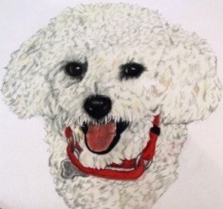 Diane Kopczeski: 'Riley', 2011 Pencil Drawing, Dogs.          Colored pencil drawing, done from your photo.         ...