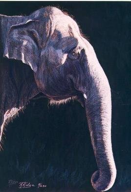 Artist Kay Ridge. 'Gentle Giant' Artwork Image, Created in 2001, Original Reproduction. #art #artist