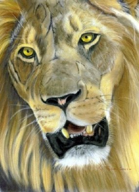 Katherine Taylorgreen: 'Kingly', 2006 Pastel, Wildlife.  Close cropped portrait of the King of Beasts ...