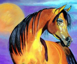 Katherine Taylorgreen: 'Sunset Bay', 2006 Pastel, Equine.  Playing with bright sun drenched color was the objective behind this Arabian horse.Painting is on black sanded paper. ...