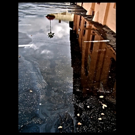 Luise Andersen: 'Rain Puddle Reflections In The City I', 2012 Color Photograph, Abstract. Artist Description:      . . . took a walk after rain. . still light sprinkles. . light urged through massive beautiful greys of  clouds. . . eyes fascinated in the abstractness. . surreal feel. . in reflections on city streets. . . City: Fontana, S. California. .* * size for uploading purposes only. . * * copies at present not available due to severe  financial difficulties. . . cannot ...
