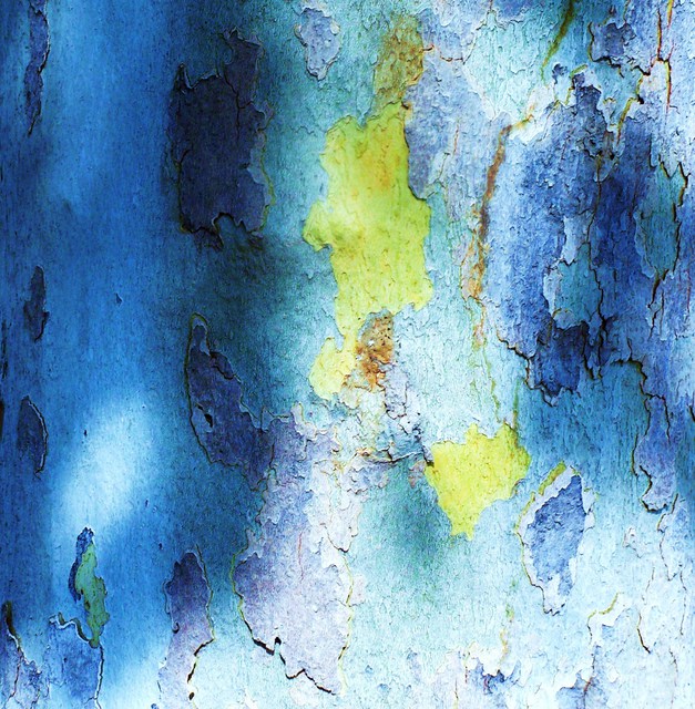 Artist Luise Andersen. 'Abstract In Blau VIII Treebark I' Artwork Image, Created in 2011, Original Fiber. #art #artist