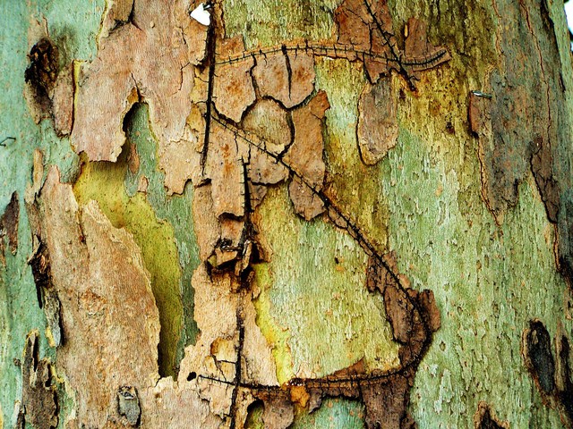 Artist Luise Andersen. 'Abstract LIRO II  Treebark ' Artwork Image, Created in 2011, Original Fiber. #art #artist