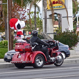 Luise Andersen: 'there is often the  NOW  Biker Caravan II', 2012 Color Photograph, Cityscape. Artist Description:  . . love Snoopy. . and here . . . . in Seasons mood. . and 'dress. . plus on this hot Motor Bike. . is most certainly special : )- - - - - - - - - - - - - - - - - - - - - - - - - - - - - - - - - - - - - - - - - - - - - . . . on way back to residence. . beautiful sunny and cloudy morning. . and heard this' Thunder' . . so familiar to my ears. . and there they came. . . . . so cool bikes : ) and what a ...
