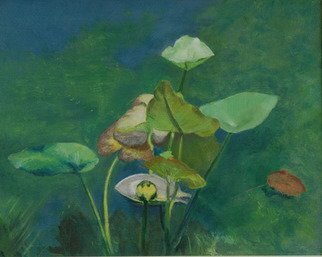 Lorrie Williamson: 'The Bonnet Lily', 2004 Oil Painting, nature.  The Bonnet House Series.  The yellow bonnet lily gave the Bonnet House its name.  It grows in the fresh water lagoon behind the mansion. ...