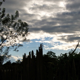 Laurie Delaney: 'Broken Fences', 2011 Color Photograph, Landscape. Artist Description: Honduras, sunset silhouette...