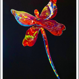 dragonfly  By Mac Worthington