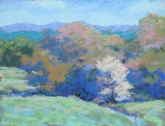 Marsha Savage: 'Pasture and Dogwood', 2008 Pastel, Landscape.  Blue Ridge GA vista done plein air. ...