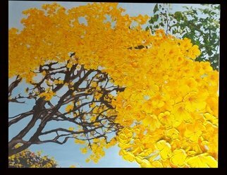 Martin Montez: 'tilaks tree', 2016 Mixed Media, Abstract Landscape. 4 foot x 5 foot heavy acrylic and watercolor. ...