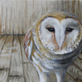 Barn Owl By Melissa Burgher