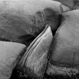 Sandstone, Hornby Island 6 By Michael Easton