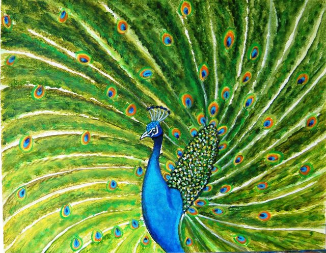 Artist Manjiri Kanvinde. 'Glorious Peacock' Artwork Image, Created in 2010, Original Painting Other. #art #artist
