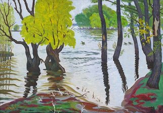 Moesey Li: 'Spill of the river Don', 1992 Oil Painting, Landscape. realism, landscape, river, spill, Don, ducks, trees...