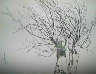 Guy Octaaf Moreaux: 'Knotty willows', 2009 Charcoal Drawing, Trees.  Knotty willows are common in Belgium. this one is snowed on. Regularly one has to cut the branches, this way it grows longer and from there the formation of knots. ...