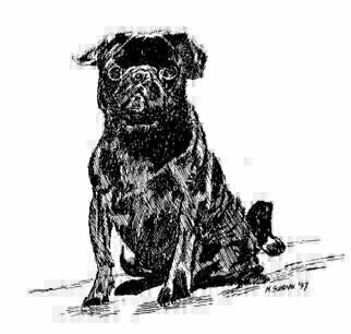 Michael Garr: 'blackpug', 1997 Pen Drawing, Dogs. A present to our friend Tony who raises pugs...