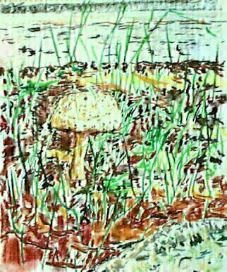 Michael Garr: 'mushroom by the conklin house', 1999 Pastel, Botanical. whimsy by the side of the old farmhouse...