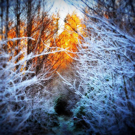 Maciej Wysocki: 'there is always hope', 2018 Color Photograph, Landscape. Artist Description: hope , winter , sun, Donegal , Ireland...