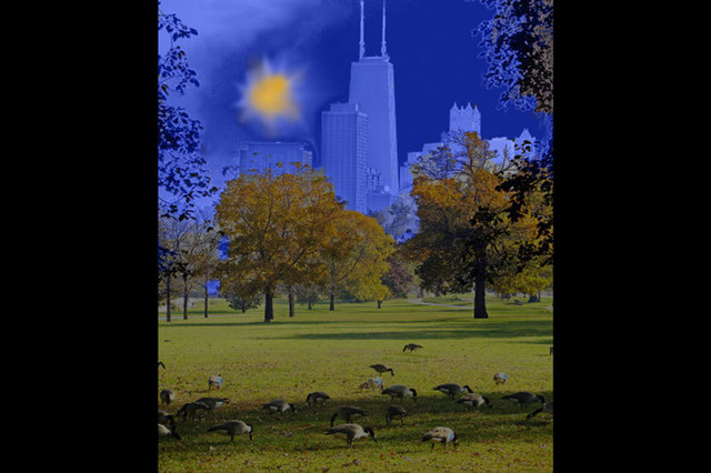 Artist Nancy Bechtol. 'Geese Chicago Skyline Blue' Artwork Image, Created in 2008, Original Photography Mixed Media. #art #artist