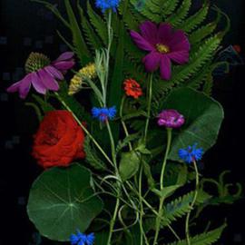 Nancy Bechtol: 'Nature Rules', 2001 Other Photography, Floral. Artist Description: floral realism baked with small imagesDurst Lamda photo process ...