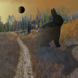 Nancy Bechtol: 'moon rabbit', 2008 Other Photography, Magical. Artist Description:  the mystical landscape where reality of the place itself has a presence beyond words1. 1. 1. digital sizes per request, varies small to big ...