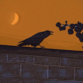 Nancy Bechtol: 'raven orangesky', 2008 Other Photography, Birds. Artist Description:  original digital photo, with vfx. shot in Alberta, Canada. 2008 on metal aluminum print framed. limited edition 25. this is 625...