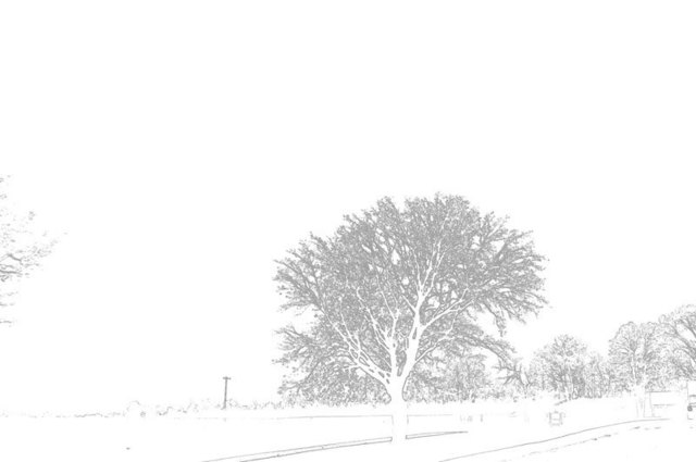 Artist Nancy Bechtol. 'WhitelineTrees' Artwork Image, Created in 2009, Original Photography Mixed Media. #art #artist