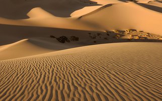Dennis Chamberlain: 'Death Valley Sand Dunes', 2014 Color Photograph, Landscape.  Sand, dunes, desert, death valley, ripples, national park, California, golden,  ...