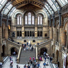 Natural History Museum By Des Byrne