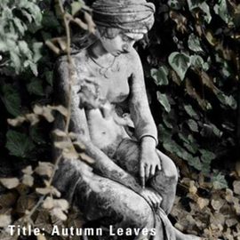 Pamela Henry: 'Autumn Leaves', 2002 Other Photography, Figurative. Artist Description: Photo painting. Signed, archival photo lustre giclee print....