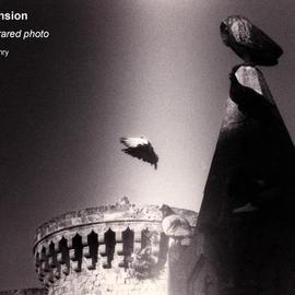 Pamela Henry: 'Descension', 2000 Black and White Photograph, Religious. Artist Description: Infrared black and white art photograph. Signed, archival photo lustre giclee print....