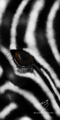 Patrick Enumah: 'zeebra', 2015 Digital Art, Motivational.   A zebra sees only two colors black and    white, which can be likened to honesty    in a person.    The position of the eyes to the sides of     the head helps it to envision up     to 360 and can be characterised to a     personaEURtms strategic positioning in life.  The impeccable...