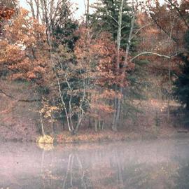 Paula Durbin: 'Biltmore', 2001 Color Photograph, Landscape. Artist Description: Giclee Print. May be printed in other sizes and processes. ...