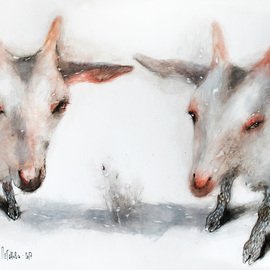 white goats By Olga Peganova