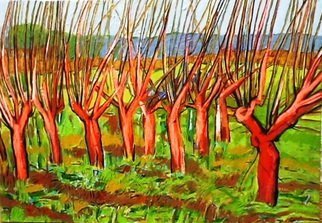 Dimitra Koula: 'trees', 2010 Oil Painting, Landscape.  pictures of my home  ...